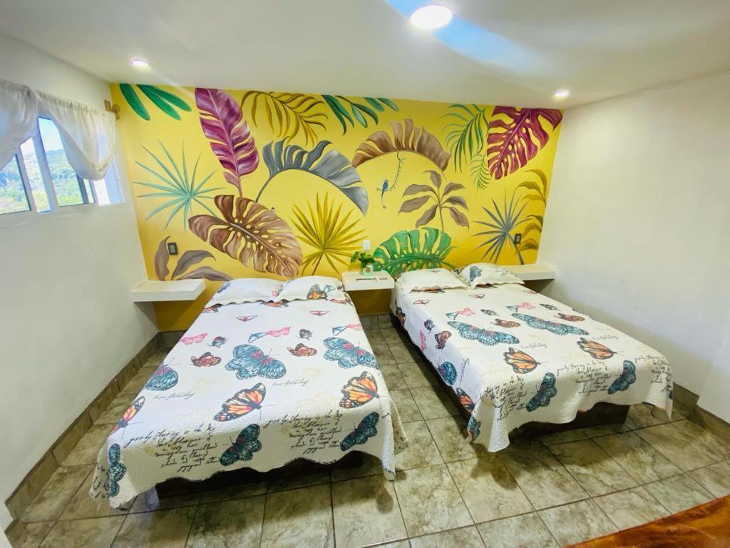 K&M Hotel Xilitla Ngoại thất bức ảnh